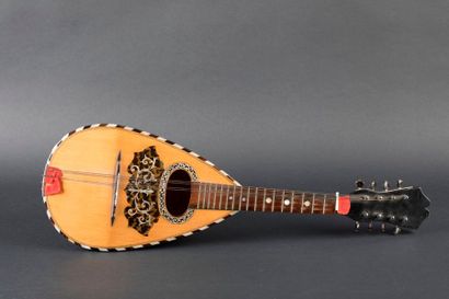 Jolie mandoline napolitaine portant étiquette...