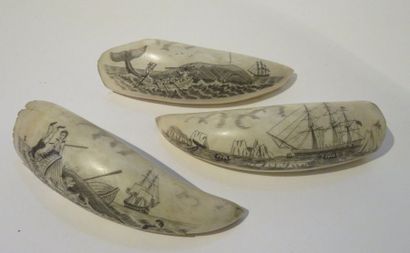 TROIS SCRIMSHAW à décor gravé sur le thème...