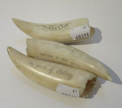TROIS SCRIMSHAW à décor gravé sur le thème...