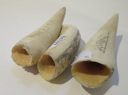 TROIS SCRIMSHAW à décor gravé sur le thème...