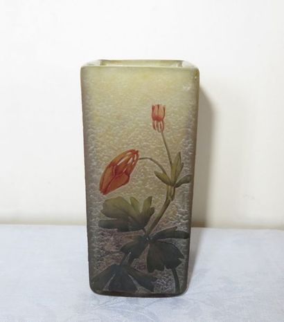 DAUM Nancy
Vase quadrangulaire à décor dégagé...