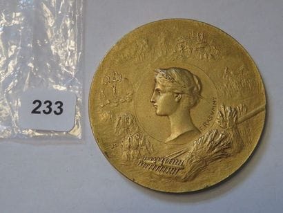 Médaille - Agriculture, par F. Rasumny -...