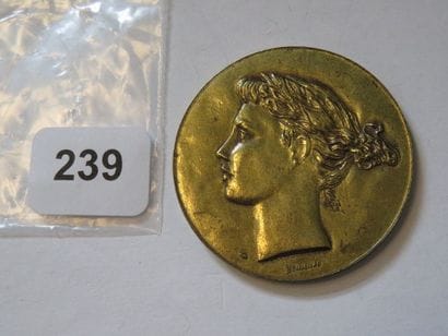 Médaille - Alliance Française, par Paul Belmondo...