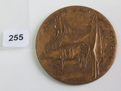 Médaille - De L'art des cavernes à la gravure...