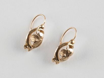 Paire de boucles d'oreilles dormeuses en...
