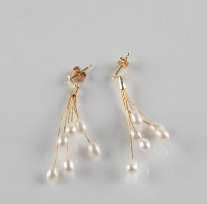 Paire de boucles d'oreilles fils retenant...