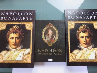 Médailles de Napoléon - Lot de 12 médailles,...
