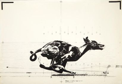 Vladimir VELICKOVIC

Animals in motion (dog),...