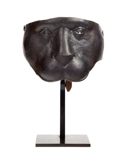 Mask of armor

figuring a feline, in brown...