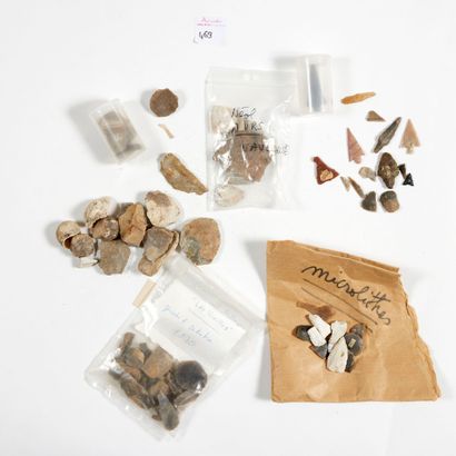 Lot

de microlithes, burins, grattoirs et...