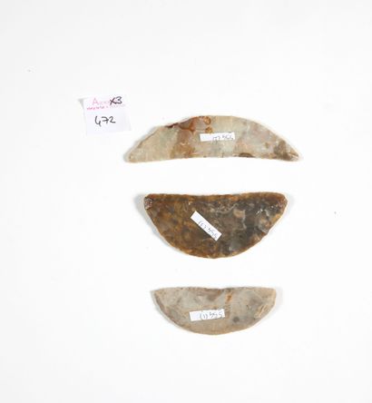 Lot de trois grattoirs convexes

Silex gris.

Danemark,...