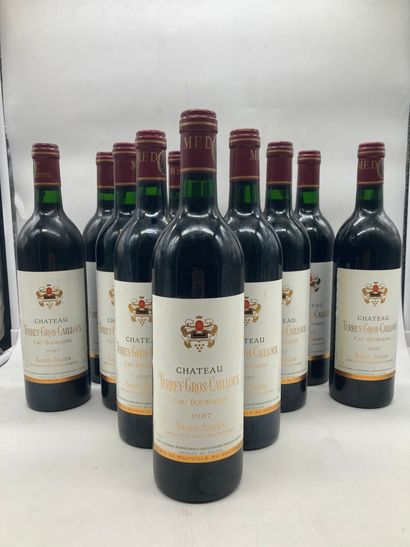 12 bouteilles

Château Terrey Gros Cailloux...