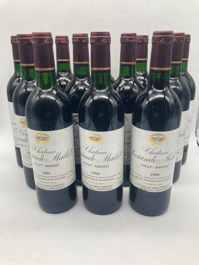 12 bouteilles

Château Sociando Mallet 1990...