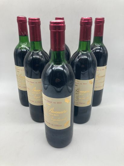 6 bouteilles

Château branaire Ducru 1986...