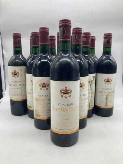 12 bouteilles

Château Terrey Gros Caillou...