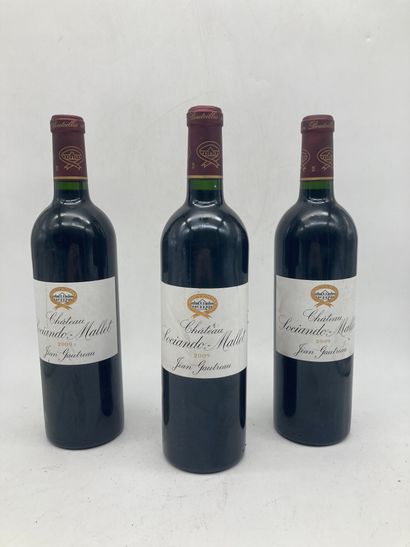 3 bouteilles

Château Sociando Mallet 2009...