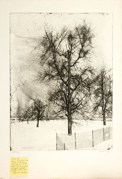 CIRY Michel

Snow in Varengeville, 1968

Etching...
