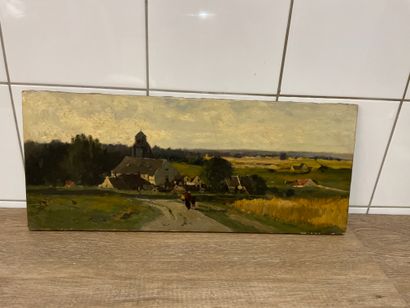 Impressionist school
The path to the house
Oil...