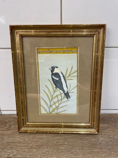 Indian miniature 
Bird on a branch
Gouache
18...