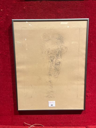 Avigdor ARIKHA (1929-2010)
Self-portrait
Print...