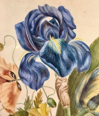 19th century French school
Floral composition
Watercolor
26.5...