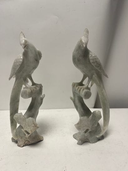 Two parakeet birds in white serpentine
China...