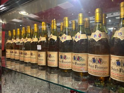Important lot of bottles of Saint-Pourcain...