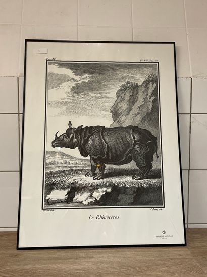 Rhinoceros poster after de SEVE 
Editions...