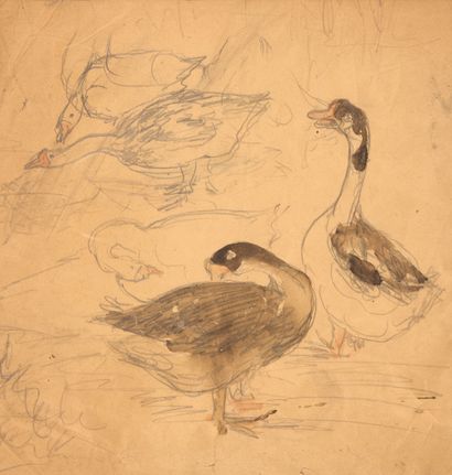 Liao Xinxue (1906-1958)
Etude d'oies
Crayon...