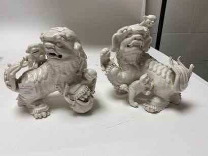 Paire de chiens de Fô en porcelaine blanc...