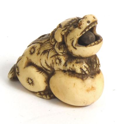 JAPON - Epoque EDO (1603 - 1868), XIXe siècle
Netsuke...