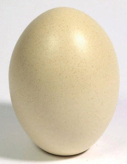 POL CHAMBOST (1906-1983)
Oeuf, 1978, en céramique...