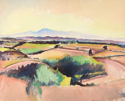 Dominique GUTHERZ (1946)
The Pyrenees seen...