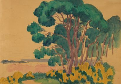 Augustin HANICOTTE (1870-1957)
Pines by the...