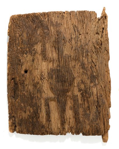 Shutter 
in wood decorated with a lizard...