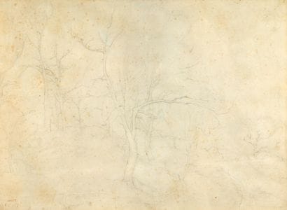 Camille COROT (1796-1875)
Trees in Winter
Double-sided...