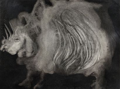 Sam SZAFRAN (1934-2019)
Rhinoceros, May 1960
Charcoal...