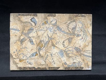 Souvenirs des fresques de poissons volants...