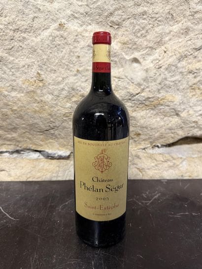 1 magnum Château Phélan Ségur 2005 Saint-Estèphe,...