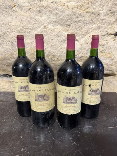 4 magnums Château Pas de l'Ane 2000 Saint-Emilion,...