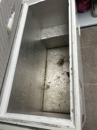 - 4 congélateurs coffres
- 1 réfrigérateur...