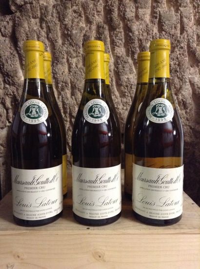 6 bouteilles : MEURSAULT 1er cru 
