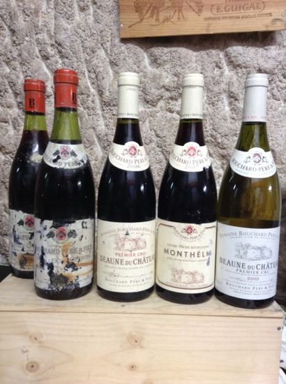 5 bouteilles : Lot de 5 bouteilles comprenant:...