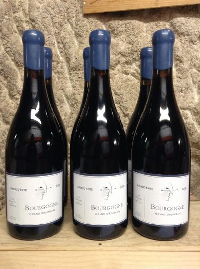 6 bouteilles : BOURGOGNE 