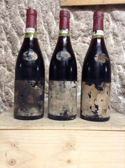 3 bouteilles : ECHEZEAUX GC 1980 Henri Jayer...