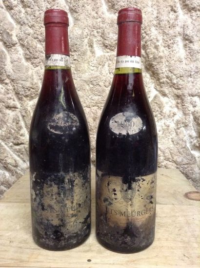 2 bouteilles : NUITS-SAINT-GEORGES 
