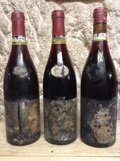 3 bouteilles : NUITS-SAINT-GEORGES 