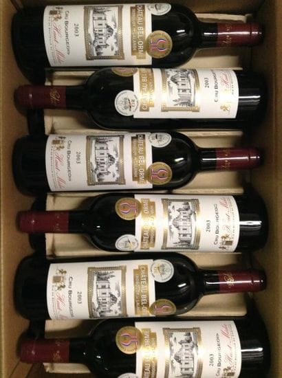 12 bouteilles : CHÂTEAU BEL ORME TRONQUOY...