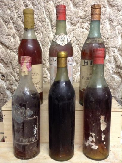 6 bouteilles : Lot de 6 bouteilles de COGNAC...