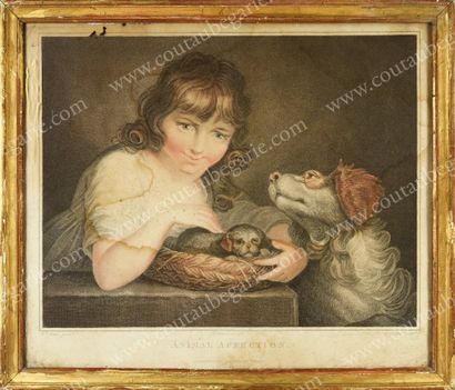 ECOLE ANGLAISE DU XIXE SIÈCLE.
Animal ailments.
Colored...